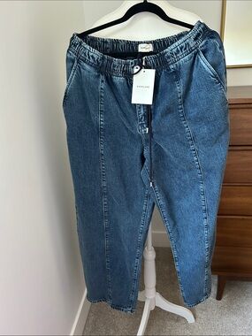 Everlane Dark Blue Denim Barrel style Jeans